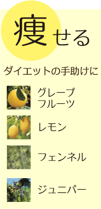 痩せるブレンド　ダイエットの手助けに   グレープフルーツ／レモン／フェンネル／ジュニパー