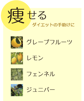 痩せるブレンド　ダイエットの手助けに   グレープフルーツ／レモン／フェンネル／ジュニパー