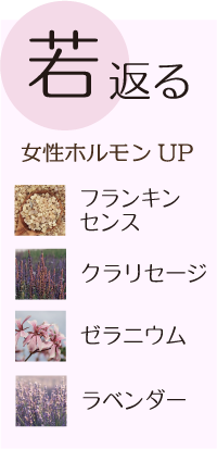 若返る　女性ホルモンUP フランキンセンス クラリセージ ゼラニウム ラベンダー